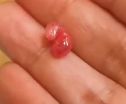 Part2 Animals Rescue #dogrescue #rescuedog #dogsofttiktok #foryoupage #foryou #dogs