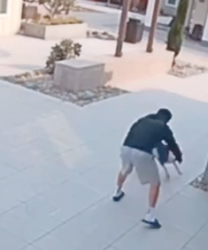 Part2 Animals Rescue #dogrescue #rescuedog #dogsofttiktok #foryoupage #foryou #dogs