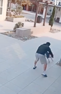 Part2 Animals Rescue #dogrescue #rescuedog #dogsofttiktok #foryoupage #foryou #dogs