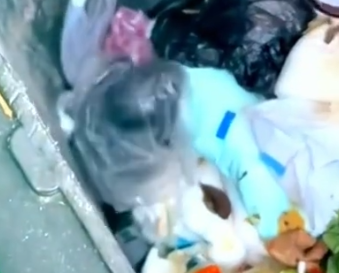 Part2 Animals Rescue #dogrescue #rescuedog #dogsofttiktok #foryoupage #foryou #dogs