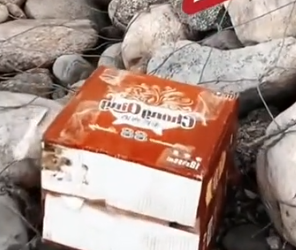 Part2 Animals Rescue #dogrescue #rescuedog #dogsofttiktok #foryoupage #foryou #dogs