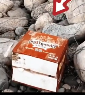 Part2 Animals Rescue #dogrescue #rescuedog #dogsofttiktok #foryoupage #foryou #dogs