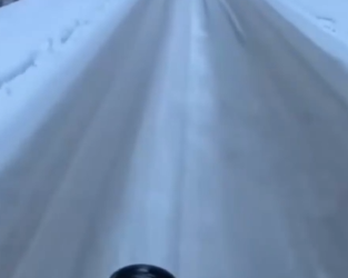 Part2 Animals Rescue #dogrescue #rescuedog #dogsofttiktok #foryoupage #foryou #dogs