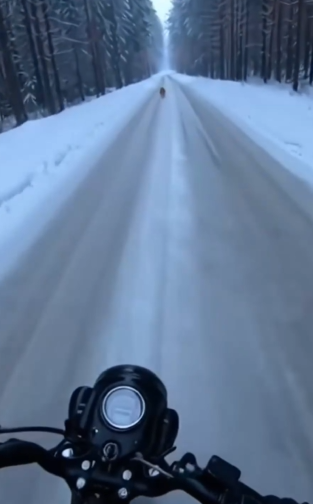 Part2 Animals Rescue #dogrescue #rescuedog #dogsofttiktok #foryoupage #foryou #dogs