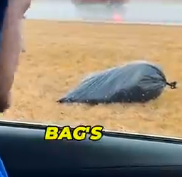 Part2 Animals Rescue #dogrescue #rescuedog #dogsofttiktok #foryoupage #foryou #dogs