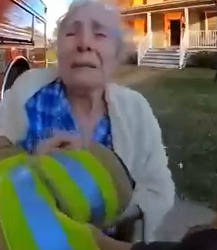 Part2 Animals Rescue #dogrescue #rescuedog #dogsofttiktok #foryoupage #foryou #dogs