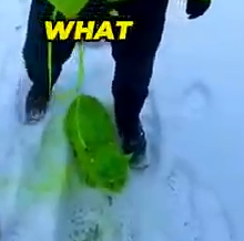 Part2 Animals Rescue #dogrescue #rescuedog #dogsofttiktok #foryoupage #foryou #dogs