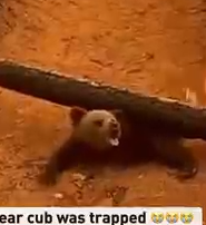 Part2 Watch the full video here:https://troll.moicaucachep.com/6388/10/