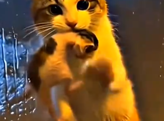 Part2 Animals Rescue #dogrescue #rescuedog #dogsofttiktok #foryoupage #foryou #dogs