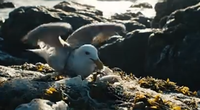 Part2 Animals Rescue #dogrescue #rescuedog #dogsofttiktok #foryoupage #foryou #dogs