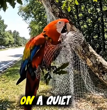 Part2 Animals Rescue #dogrescue #rescuedog #dogsofttiktok #foryoupage #foryou #dogs