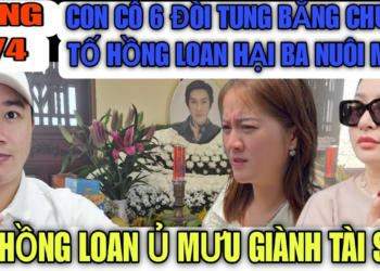 Con Cô 6 Đòi Tung Bằng Chứng Hồng Loan Ủ Mưu Giành Tài Sản Của CNS Vũ Linh