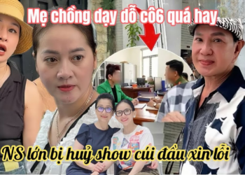 Má 4 Tá Hoả C3 NS LỚN Bị Huỷ Show Xin Lỗi Khán Giả,Mẹ Nuôi Hồng Loan Dạy Dỗ Mẹ Con Cô 6 Quá Thấm