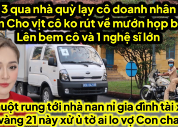 Chị 3 mở họp báo nhục mạ cô doanh nhân gì cô ko rút đơn cho vịt,21 ủ tờ chuột tới nan nỉ GĐ tài xế