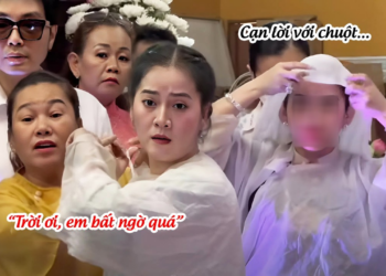 Hồng Loan Vỡ Oà Chi 3 Làm Điều KHÓ TIN Ngày Giỗ Ba, Chuột Trả Ơn Bác 5 Bằng CÁCH NÀY?