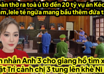 Ra toà mới nhất A2 bàn thờ ủ tờ đền 20tỷ lele mang bầu thêm đứa thứ 2 thoát ủ tờ,A3 xử chém trí cảnh