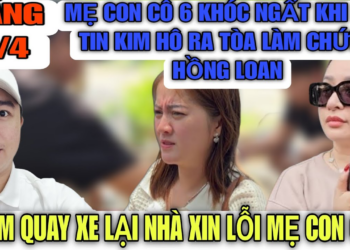 Mẹ Con Cô 6 Khóc Ngất Khi Bít Kim Hô Ra Tòa Phúc Thẩm Làm Chứng Lấy Lại 15% Cho Hồng Loan