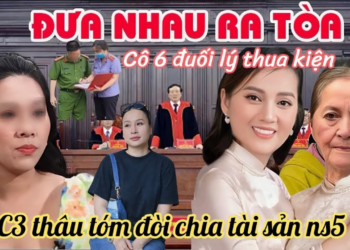 Ni Tá Hoả Con Cô 6 Đưa Mẹ Ruột Hồng Loan Ra Toà, Lộ Ghi Âm C3 Muốn Thâu Tóm Nhà Số 5