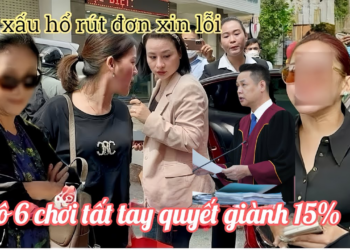 C3 Bày Mưu Chồng Đi Nước Ngoài Bỏ Nợ 300 Triệu Chị Ni, Cô 6 Thuê Luật Sư Quyết Đòi 15% Nhà Hồng Loan