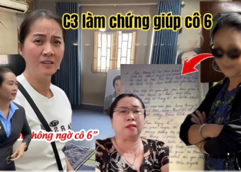 Hồng Loan Tá Hoả C3 Tuyên Bố Ra Toà Làm Chứng Giúp Cô 6, Đám Quay Xe Xấu Hổ Bị Tố Vô Ơn Với Ni