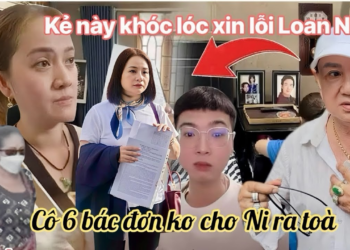 Cô 6 Làm Đơn Bác Bỏ Ni Làm Đại Diện Phát Ngôn, T Cảnh Quay Xe Ra Toà Làm Chứng Giúp Hồng Loan