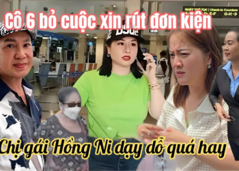 15/4: Cô 6 XIN RÚT ĐƠN Vì Hồng Loan Bổ Sung = Chứng Lên Toà, KẺ VÔ ƠN Xấu Hổ Chị Gái Ni Nói Tâm Sự?