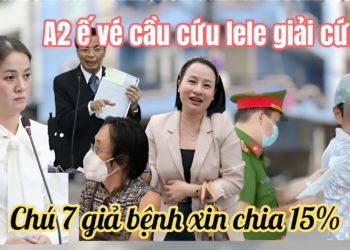 Hồng Loan Tá Hoả A2 Khóc Ngất Show Ế vé cầu cứu lele, Chú 7 Đổ Bệnh Cầu Xin Toà Xin Chia 15%