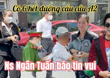 Hồng Loan Mừng Khóc Nhận Tin Vui Ns Ngân Tuấn Trước Phúc Thẩm, Cô6 Đường Cùng Cầu Cứu VC A2