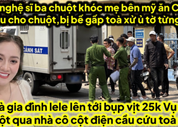 Chuột bị bế toà 6h sáng mai căng chú nghệ sĩ ba chuột cầu nguyện ăn chay,qua nhà cầu cứu cột điện