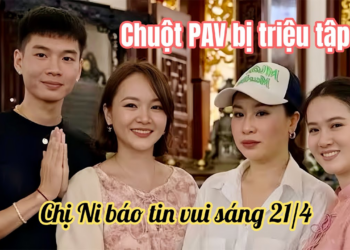 Hồng Loan Vỡ Oà Ni Báo Tin Vui Phúc Thẩm, PAV Chuột Ra Toà Dính Án Vụ 4/9