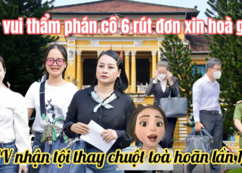 Nhân Chứng Tại Toà Tiếc Lộ Lý Do Bich Tham Vắng Mặt, Thẩm Phán Tin Vui Cô 6 Kêu Cứu HOÀ GIẢI