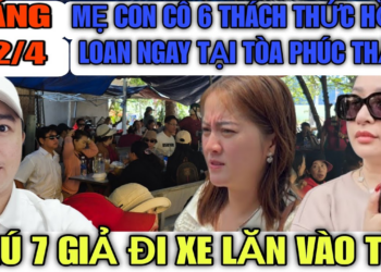 Mẹ Con Cô 6 Thách Thức Hồng Loan Tại Tòa Phúc Thẩm, Chú 7 Giả Đi Xe Lăng Vào Tòa Bị Phát Hiện