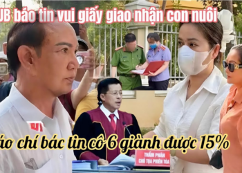 Hồng Loan Vỡ Oà Báo Chí Bác Bỏ Tin Cô 6 Được Hưởng 15%, Lộ Lý Do Đại Diện Uỷ Ban PN Vắng Toà