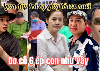 Hồng Loan Đáp Trả Vụ Thất Lạc Giấy Giao Con Nuôi, Cô 6 Chơi Tất Tay Quyết Lật Kèo Giành 15%