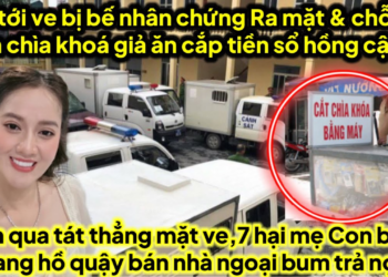 Toà tới ve bị bế nhân chứng chủ làm chìa khoá giả cho ve ăn cắp tiền sổ hồng cậu 5 ra mặt hết thoát