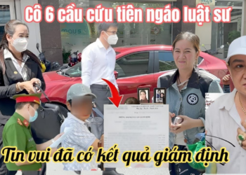 Chị Ni Thông Báo Tin Vui Đã Có Kết Quả Giam Định, Cô 6 Lo Sợ Mất Trắng 15% Mời Gấp Luật Sư