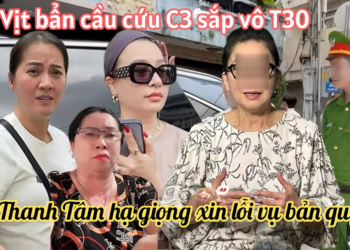 Ns Thanh Tâm Hạ Giọng Xin Lỗi Hồng Loan Vụ Bản Quyền A5, Zịt Bẩn Sắp Bế Vô T30 Khóc Cầu Cứu 3 Dạ