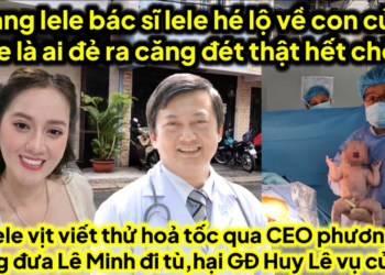 Toang lele bs Lele hé lộ con lele do ai đẻ hết chối,lele vịt viết thư cô Hằng thưa lê minh ở tù căng