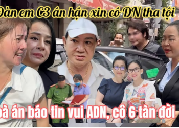 Cô DN Gửi Đơn Triệu Tập CA Zịt Bẩn Sắp Vô T30, Hồng Loan Vỡ Oà Toà Bác Đơn ADN Cô 6 Toang Rồi