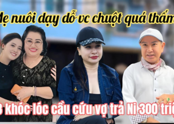 Mẹ Nuôi Hồng Loan Dạy Dỗ Vc Chuột Cực Thấm, A3 Khóc Lóc Cầu Cứu Vợ C3 Trả 300 Triệu Cho Ni