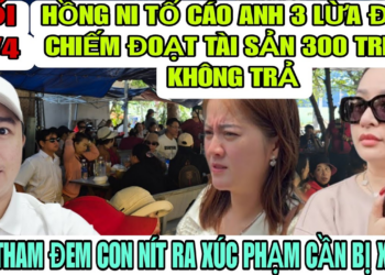 Hồng Ni Làm Đơn Tố Cáo Anh 3 Lừa Đảo Chiếm Đoạt Tài Sản 300 Triệu, Bít Thăm Phân Biệt Con Ruột Nuôi