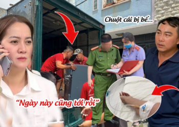 Con Cô 6 Nhập Viện Gấp Vì Hồng Loan Báo Tin DỌN ĐỒ, Chuột Xanh Mặt Bị Bế Lên Báo?