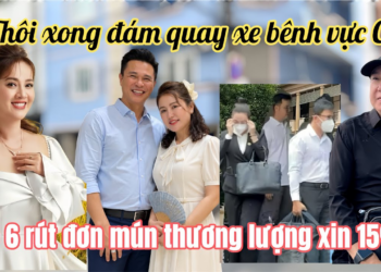 Đàn Em Quay Xe Bên Vực C3 Trách Móc Loan Ni Thâu Tóm MTQ, Cô 6 Đuối Lý Thương Lượng Xin 15%