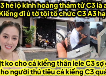 Cá kiểng ủ tờ có tổ chức C3 A3 hại Ni bằng chứng ai là thám tử cho C3,Ni thủ tiêu nhân chứng C3 ác