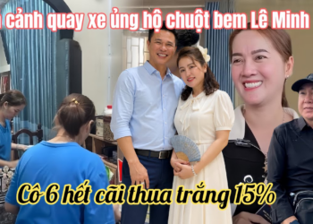 Cá Cảnh Quay Xe Bênh Vực Bích Tham Vô Ơn Ni, HLoan Sốc Lộ Ghi Âm Cô6 Bán Nhà Từ Đường Vì Đỏ Đen