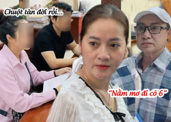 Cô 6 Xuống Nước Vỗ Về Hồng Loan Chia 15%, Chuột Cầu Cứu Khắp Nơi Vì Đã Có Lệnh Bế?