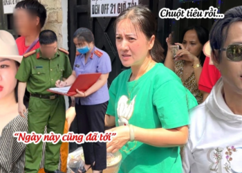 Chuột Nhập Viện Cầu Cứu Ba Linh Tâm Vì TIN DỮ Từ Sở VH, Hồng Loan Vỡ Oà Cô 6 Nhận Thua?