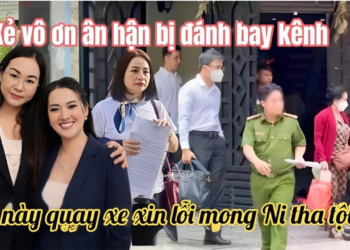 Dì Họ Ni Ở Gia Lai Dạy Dỗ Cá Cảnh Quá Hay, Hồng Loan Bất Ngờ Cô 6 Rút Đơn Xuống Nước Chia 15%