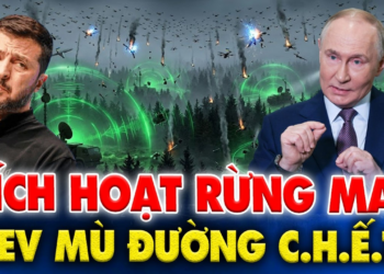 MỚI NHẤT: Nga dựng “rừng ma” làm mù UAV Ukraine, Kiev bắt đầu lạc trong chính chiến trường của mình.