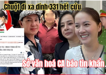 Chuột Nhận Tin Dữ Từ CA Dính Án Hình Sự Sắp Vô T30, Cô 6 Ép Hồng Loan Chia 15% Phút Cuối